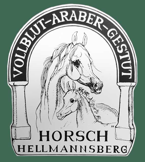 Das Arabergestt Horsch Hellmannsberg stellt sich vor. Wohnen und Reiten im Aratell bei Ingolstadt